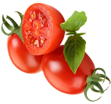 Hotel Tulsi Tomatto