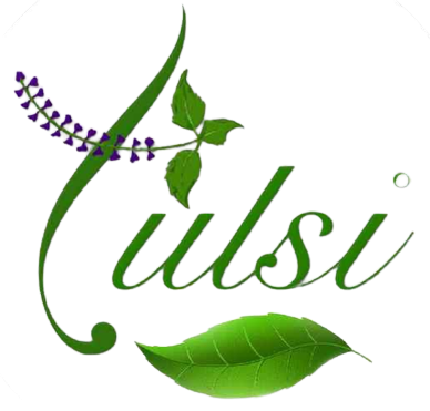 Hotel Tulsi